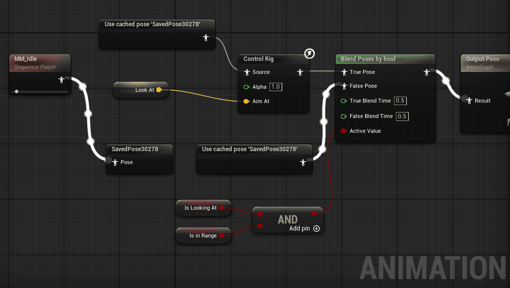 Animation Graph 应用 Control Rig